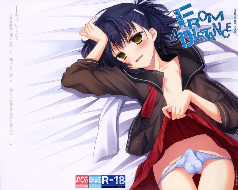 From a Distance (プラナスガール)-幻想世界