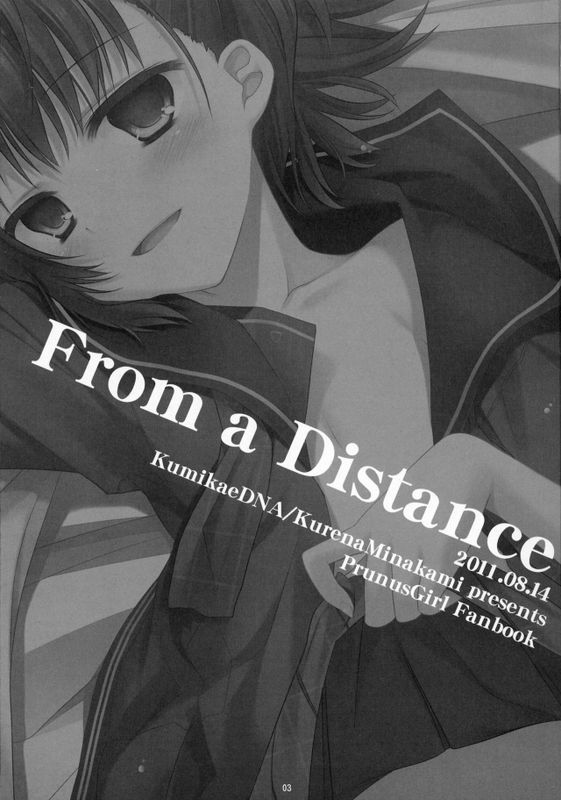 From a Distance (プラナスガール)-幻想世界