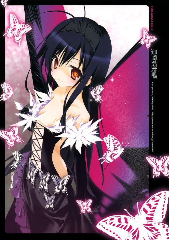 黒雪姫物語 (アクセルワールド)-幻想世界