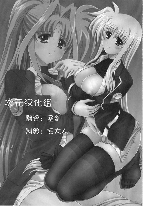 Nineteens ? (魔法少女リリカルなのは)-幻想世界