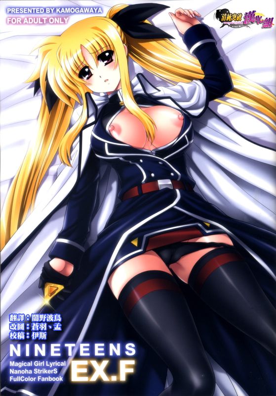 NINETEENS EX.F (魔法少女リリカルなのはStrikerS)-幻想世界