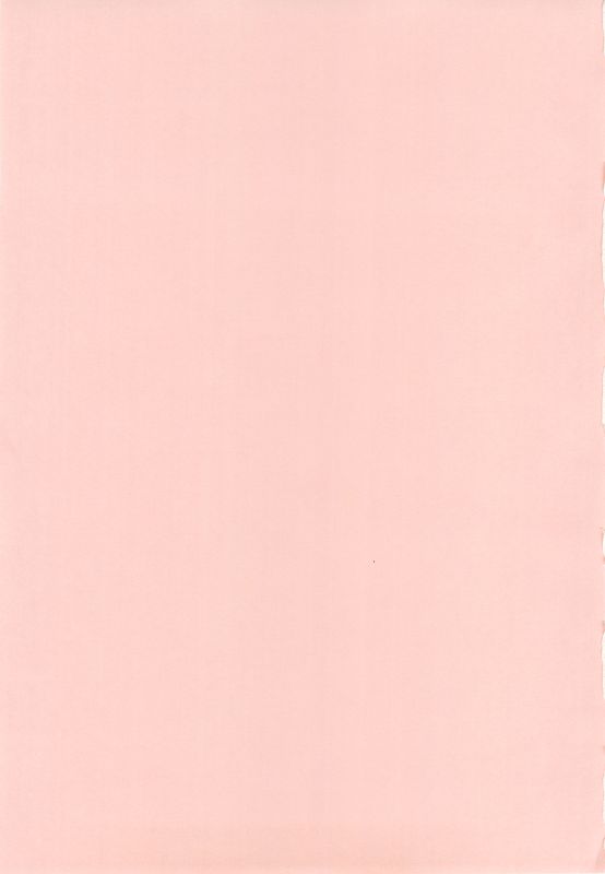 Nines SIDE-N (魔法少女リリカルなのは)-幻想世界