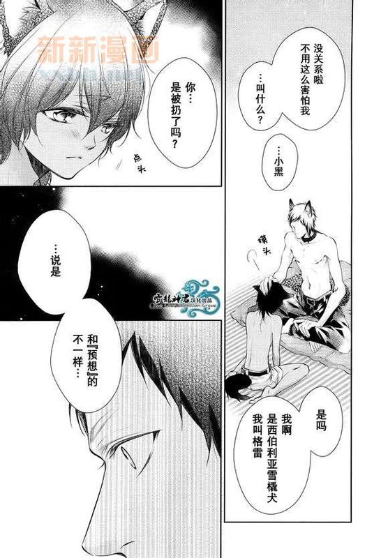 完美KISS-幻想世界