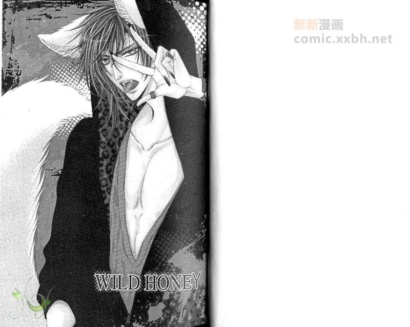 Wild Honey-幻想世界