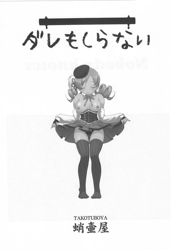 ダレもしらない (魔法少女まどか☆マギカ)-幻想世界