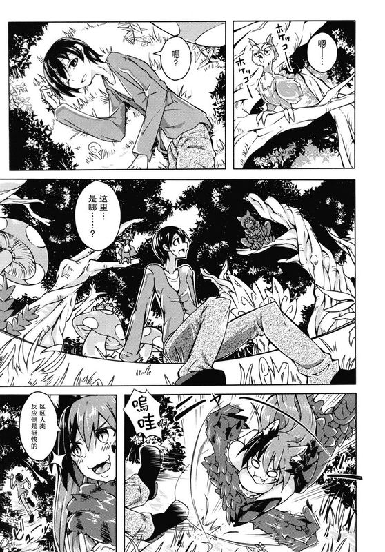 私の魔物娘を紹介します!EX図鑑総集編-幻想世界