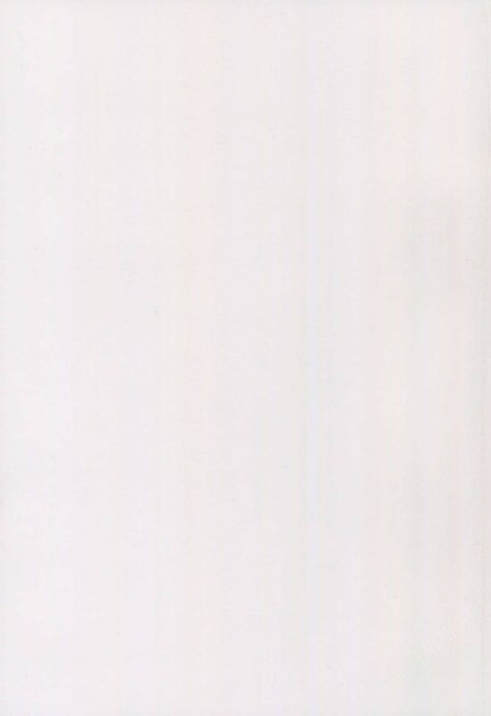 罵られながら足で踏まれたい本2-幻想世界