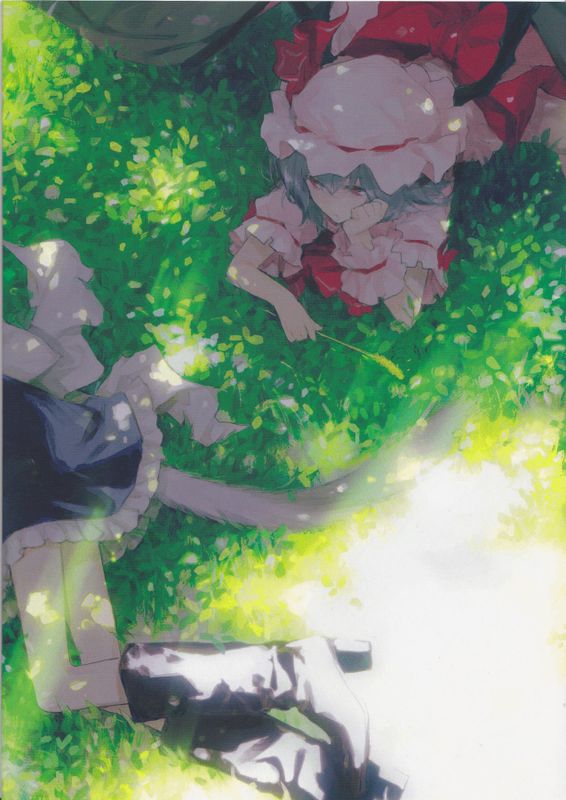 銀猫 (東方)-幻想世界