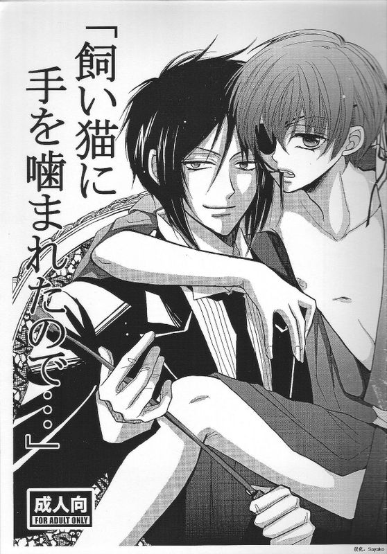 被宠猫咬到手-幻想世界