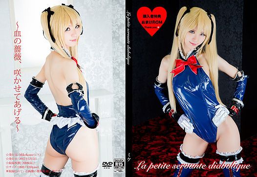 非売品写真集-幻想世界