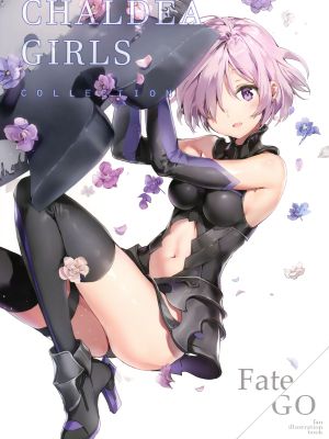 CHALDEA GIRLS COLLECTION (Fate Grand Order)（新月汉化组）-幻想世界