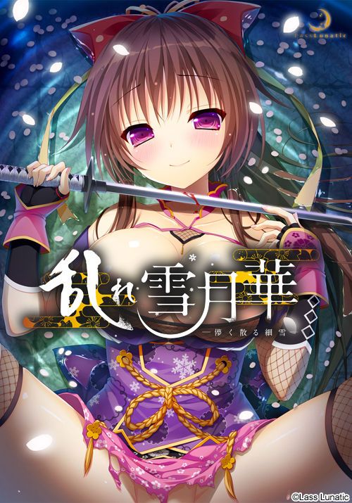 乱れ雪月華 ～儚く散る細雪～ 游戏CG-幻想世界