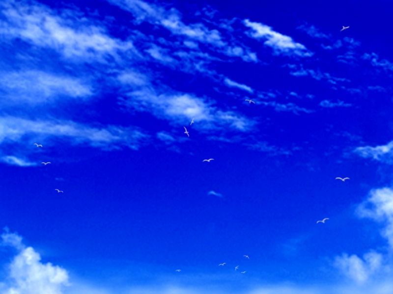 二重箱 游戏CG-幻想世界