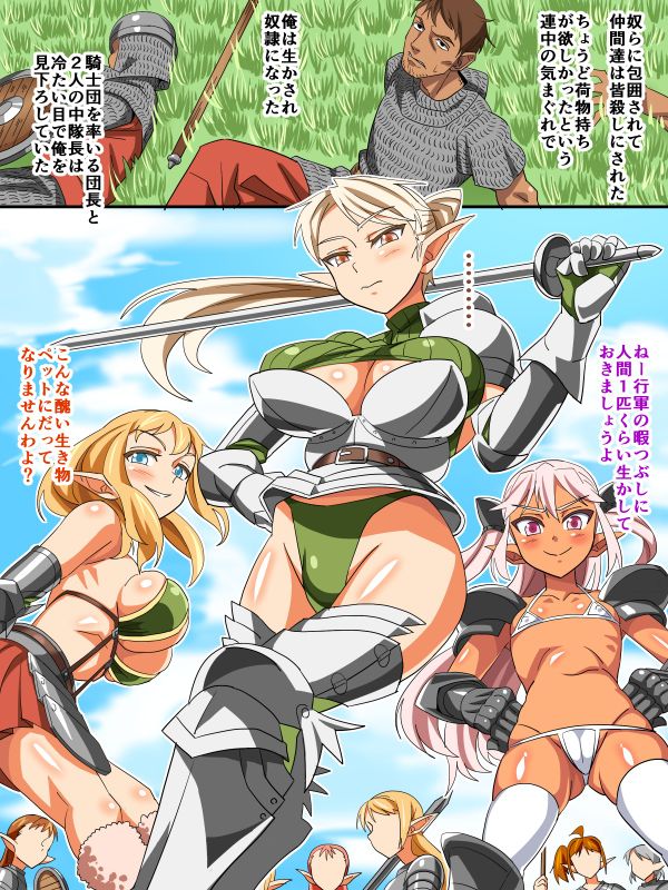 エルフ騎士団即堕ちハーレム-幻想世界