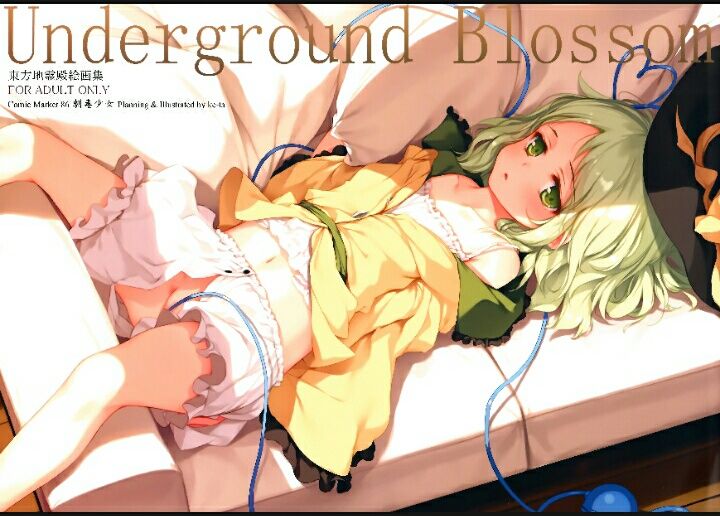 Underground Blossom (東方Project)-幻想世界