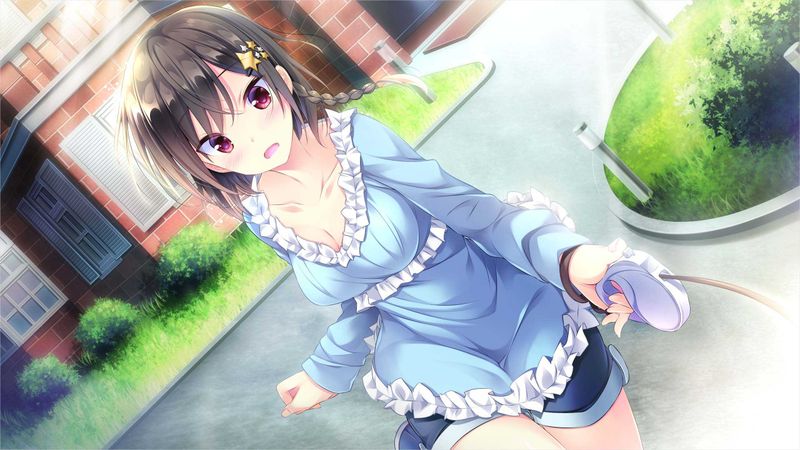 お嬢様の半分は恋愛で出来ています！-幻想世界