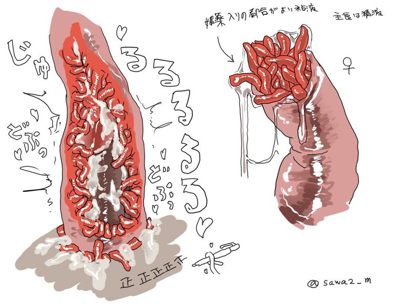 Pixiv Artist: Sawasa I (Tentacle Guides)-幻想世界