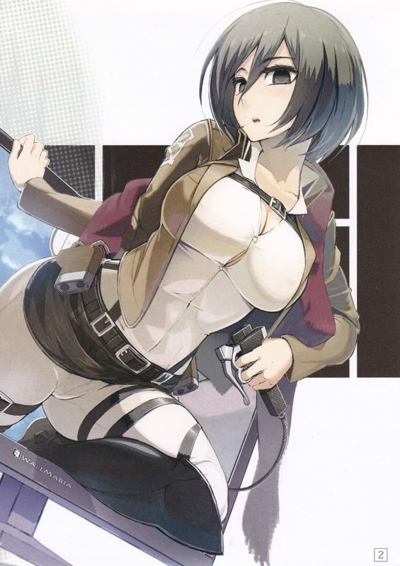 (C84) SHINNGEKI  VOLUME.04 (進撃の巨人)-幻想世界