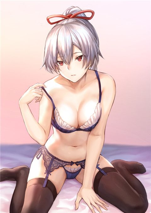 Fate / Grand Order内衣模特系列-幻想世界