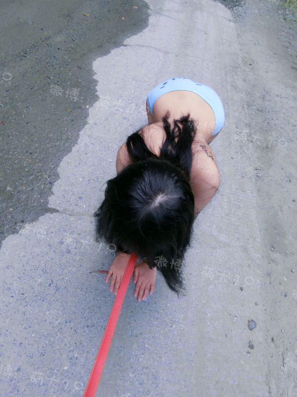 [福利向]萌犬一只之山路露出-幻想世界