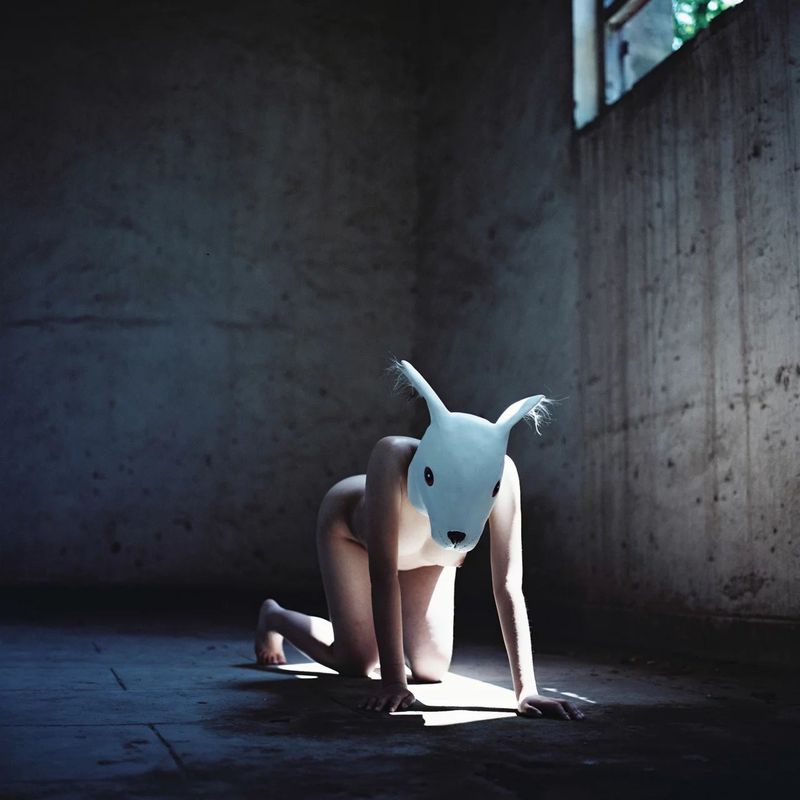 [喵酱是hentai]MISS兔-幻想世界