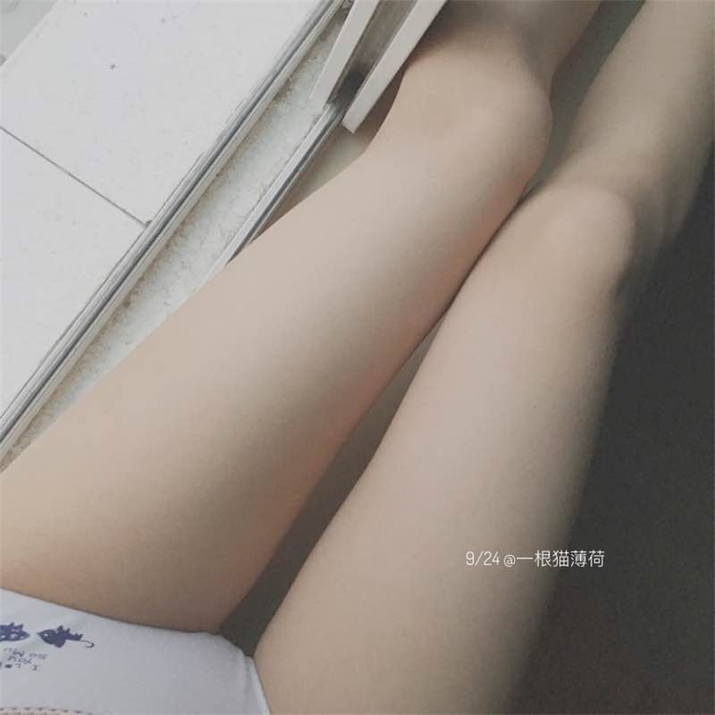 喵薄荷-幻想世界