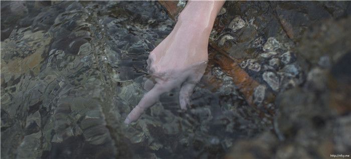 南桃Momoko-绫波丽-幻想世界