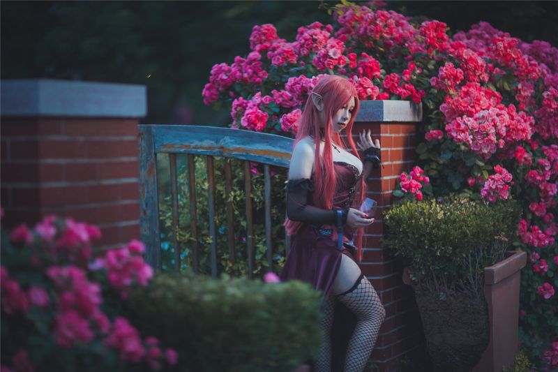 [从从从从鸾]约克公爵-幻想世界