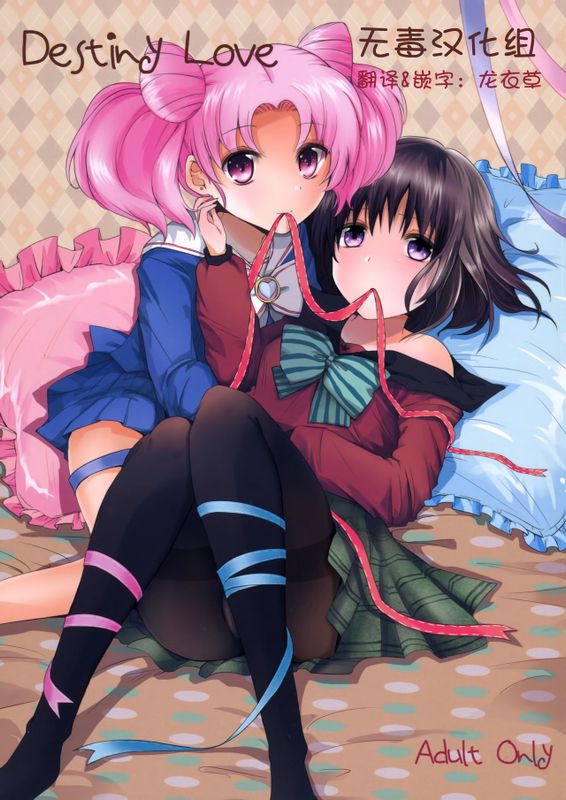 Destiny Love (美少女戦士セーラームーン)-幻想世界