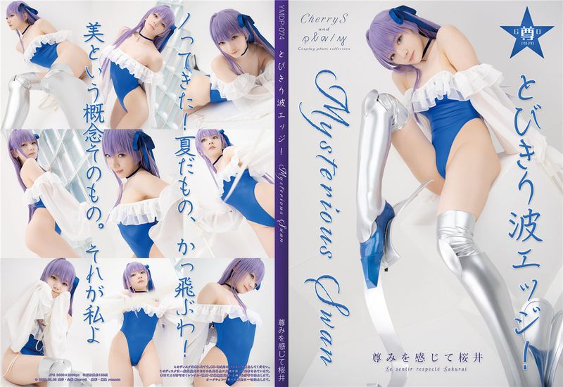 とびきり波エッジ!Mysterious Swan-幻想世界