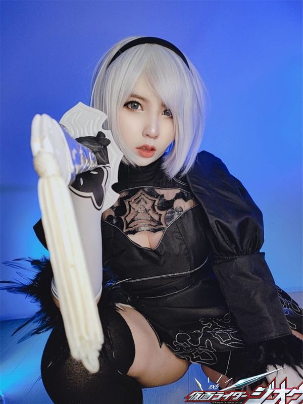 Aokotan - 2B-幻想世界