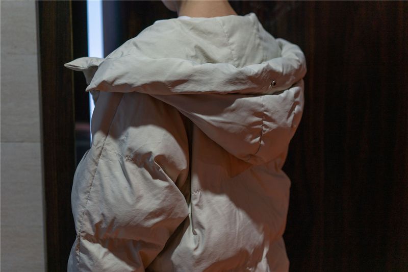 西园寺南歌 - 黄豆粉-幻想世界