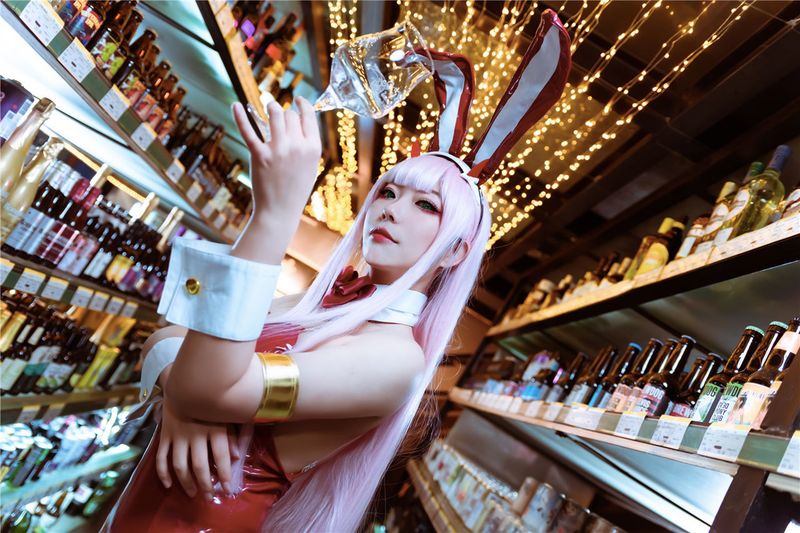 机智的哔啵 - Zero Two Bunnygirl-幻想世界