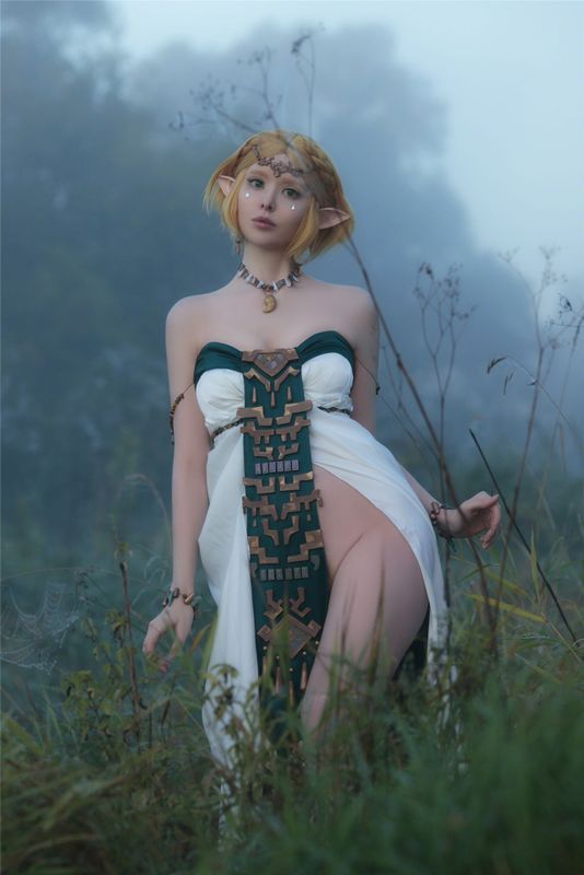 Vinnegal - Zelda-幻想世界