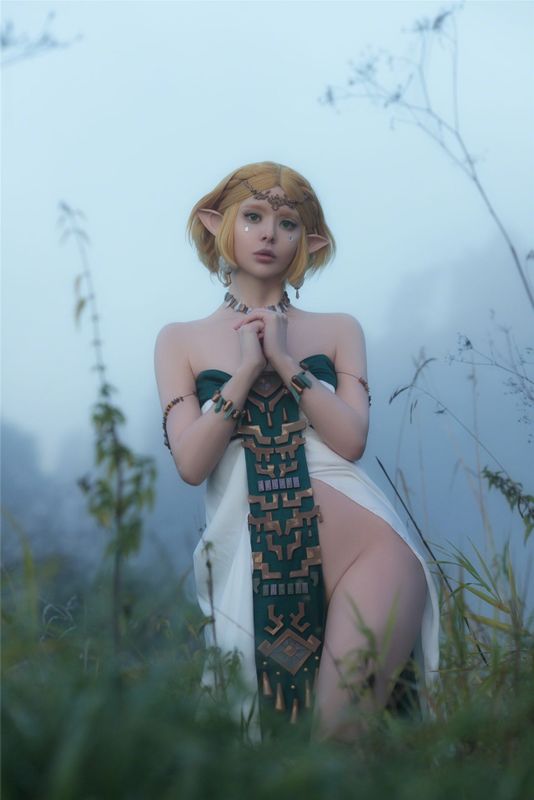 Vinnegal - Zelda-幻想世界