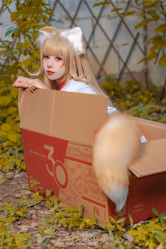 Yaokoututu - Kinako-幻想世界